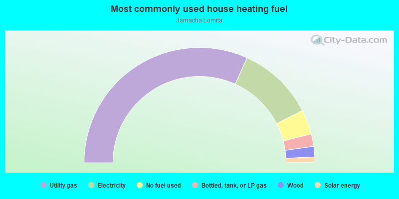 Most commonly used house heating fuel