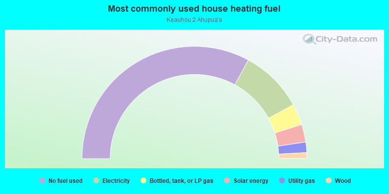 Most commonly used house heating fuel