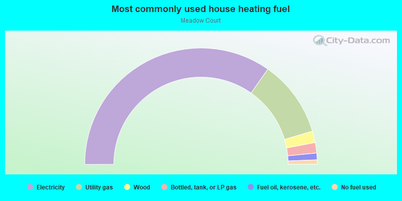 Most commonly used house heating fuel