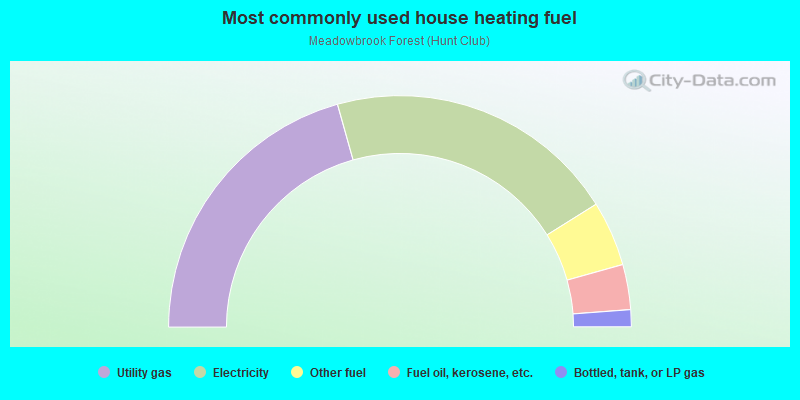 Most commonly used house heating fuel