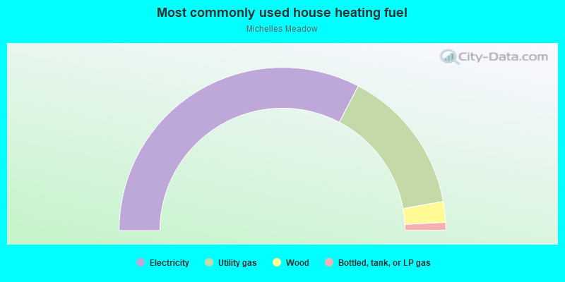 Most commonly used house heating fuel