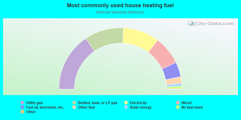 Most commonly used house heating fuel