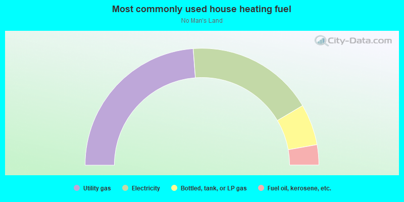 Most commonly used house heating fuel