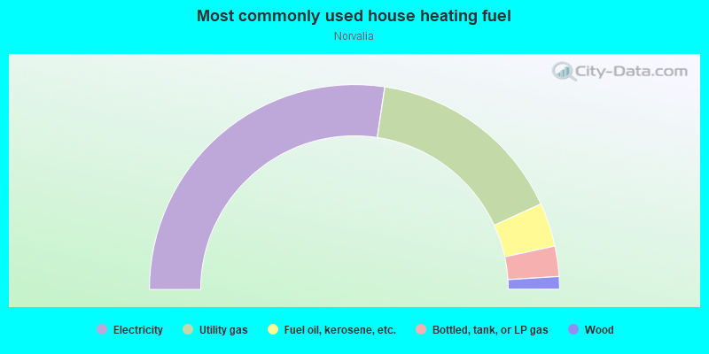 Most commonly used house heating fuel