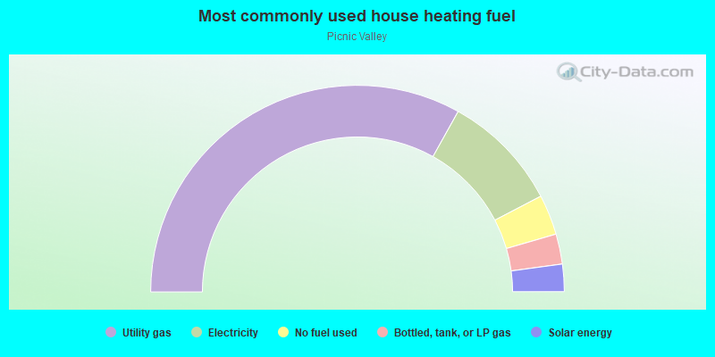 Most commonly used house heating fuel