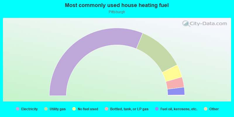 Most commonly used house heating fuel