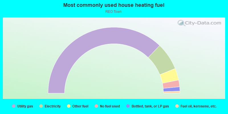 Most commonly used house heating fuel