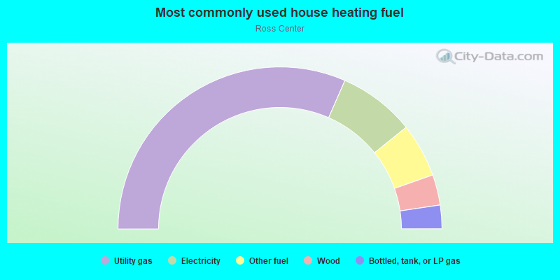 Most commonly used house heating fuel