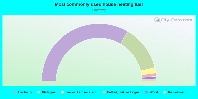 Most commonly used house heating fuel