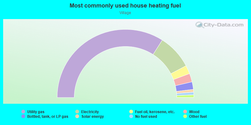 Most commonly used house heating fuel