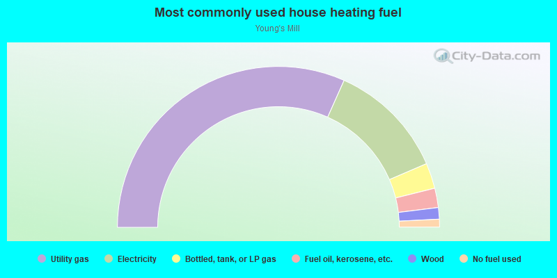 Most commonly used house heating fuel