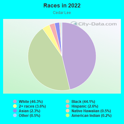 Races in 2022