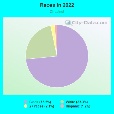 Races in 2022