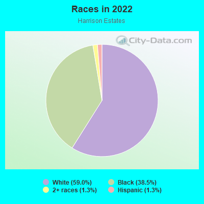 Races in 2022