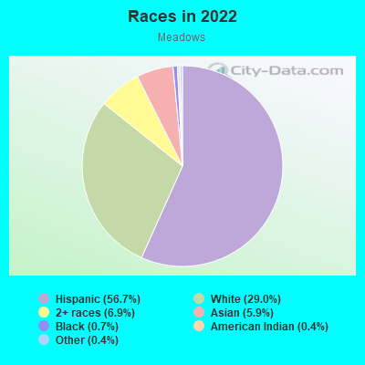 Races in 2022