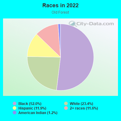 Races in 2022