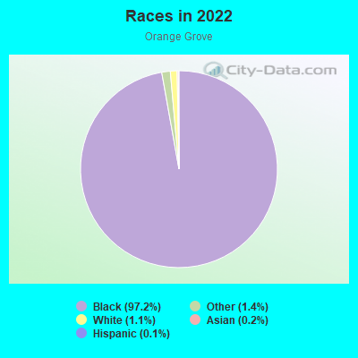 Races in 2022