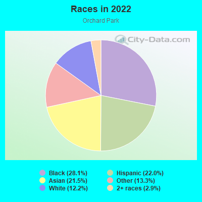 Races in 2022