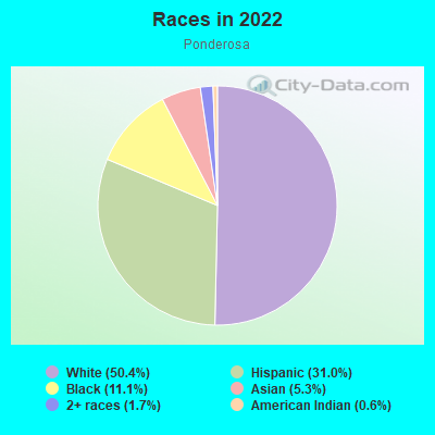 Races in 2022