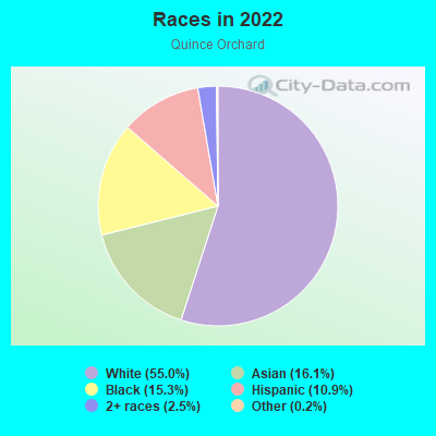 Races in 2022