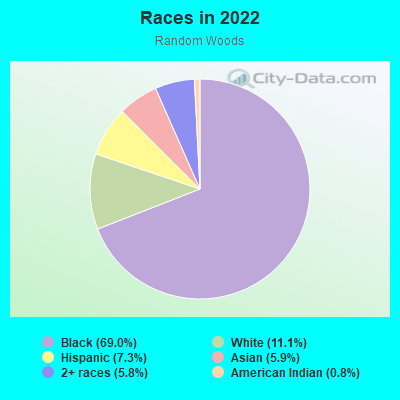 Races in 2022