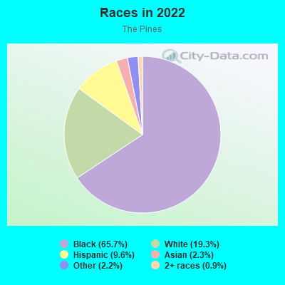 Races in 2022