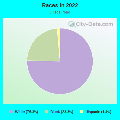 Races in 2022