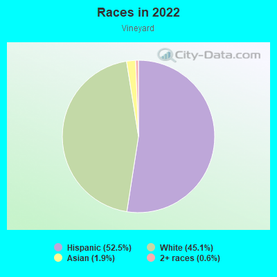 Races in 2022