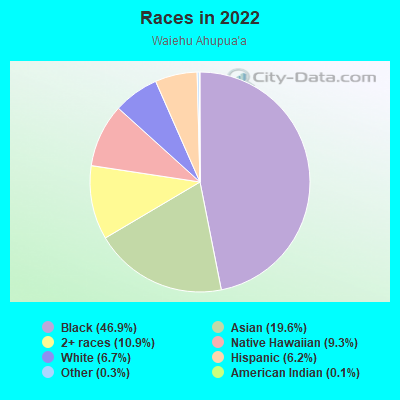 Races in 2022