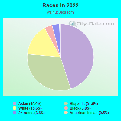 Races in 2022