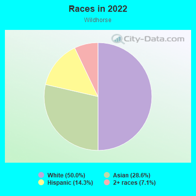 Races in 2022