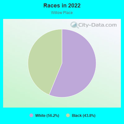 Races in 2022