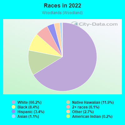 Races in 2022