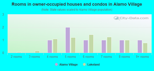 Rooms in owner-occupied houses and condos in Alamo Village