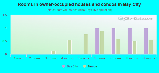 Rooms in owner-occupied houses and condos in Bay City