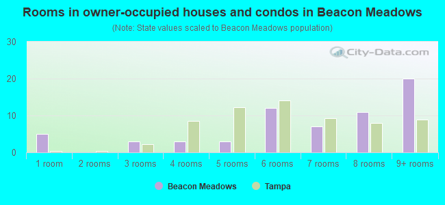 Rooms in owner-occupied houses and condos in Beacon Meadows