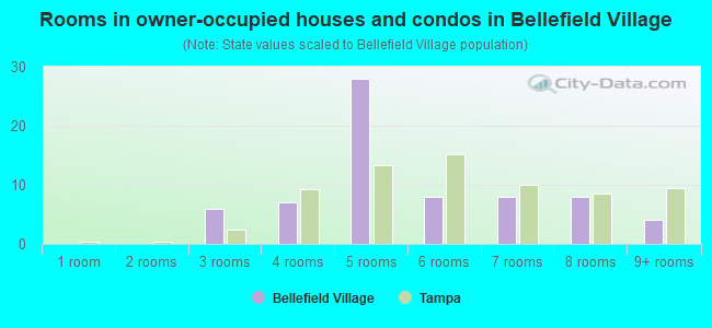 Rooms in owner-occupied houses and condos in Bellefield Village