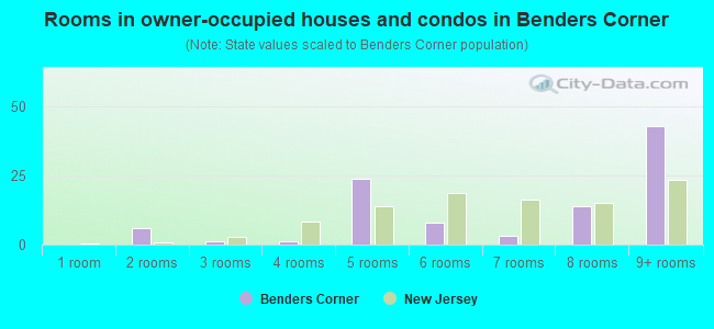 Rooms in owner-occupied houses and condos in Benders Corner