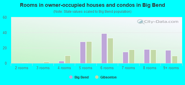 Rooms in owner-occupied houses and condos in Big Bend