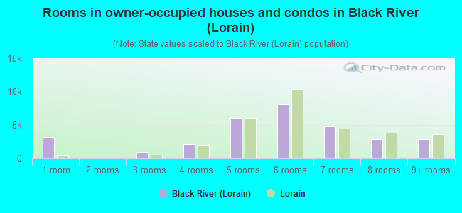 Rooms in owner-occupied houses and condos in Black River (Lorain)