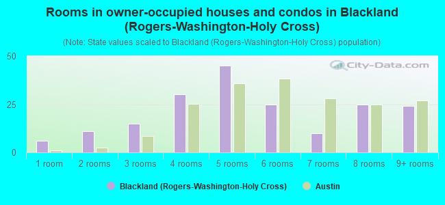 Rooms in owner-occupied houses and condos in Blackland (Rogers-Washington-Holy Cross)