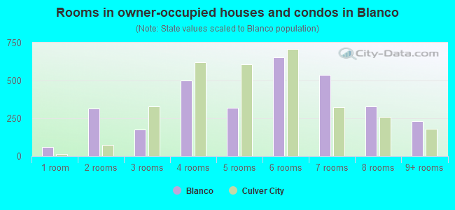 Rooms in owner-occupied houses and condos in Blanco