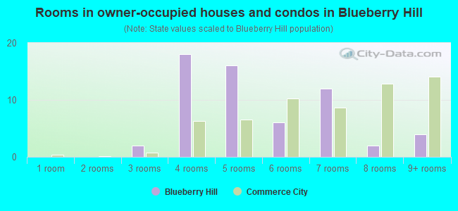 Rooms in owner-occupied houses and condos in Blueberry Hill