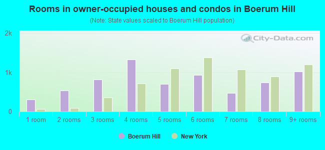 Rooms in owner-occupied houses and condos in Boerum Hill