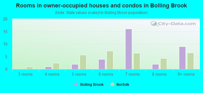 Rooms in owner-occupied houses and condos in Bolling Brook