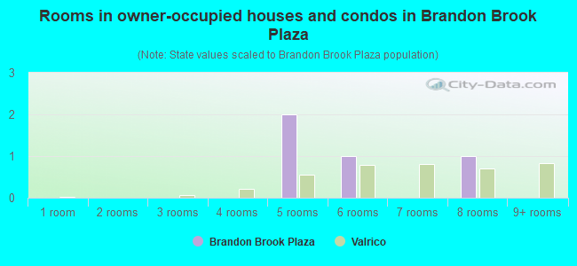 Rooms in owner-occupied houses and condos in Brandon Brook Plaza