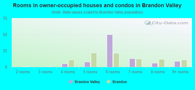 Rooms in owner-occupied houses and condos in Brandon Valley