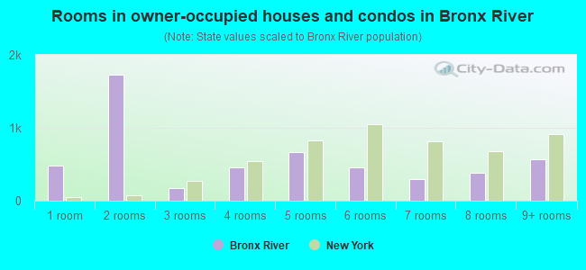 Rooms in owner-occupied houses and condos in Bronx River