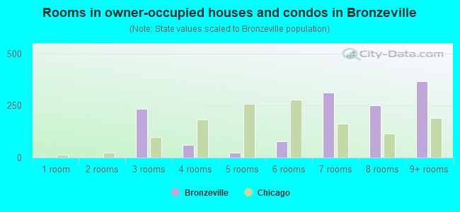 Rooms in owner-occupied houses and condos in Bronzeville