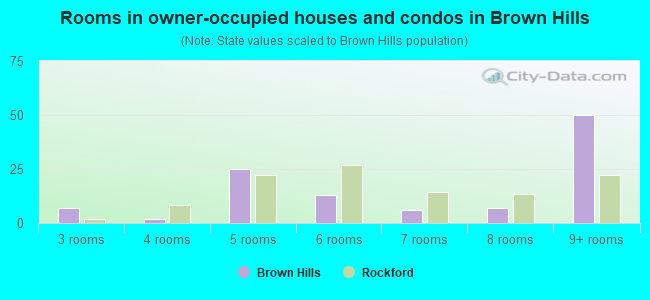 Rooms in owner-occupied houses and condos in Brown Hills